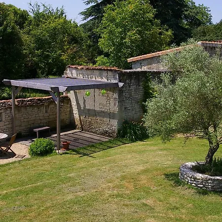 L'olivier *